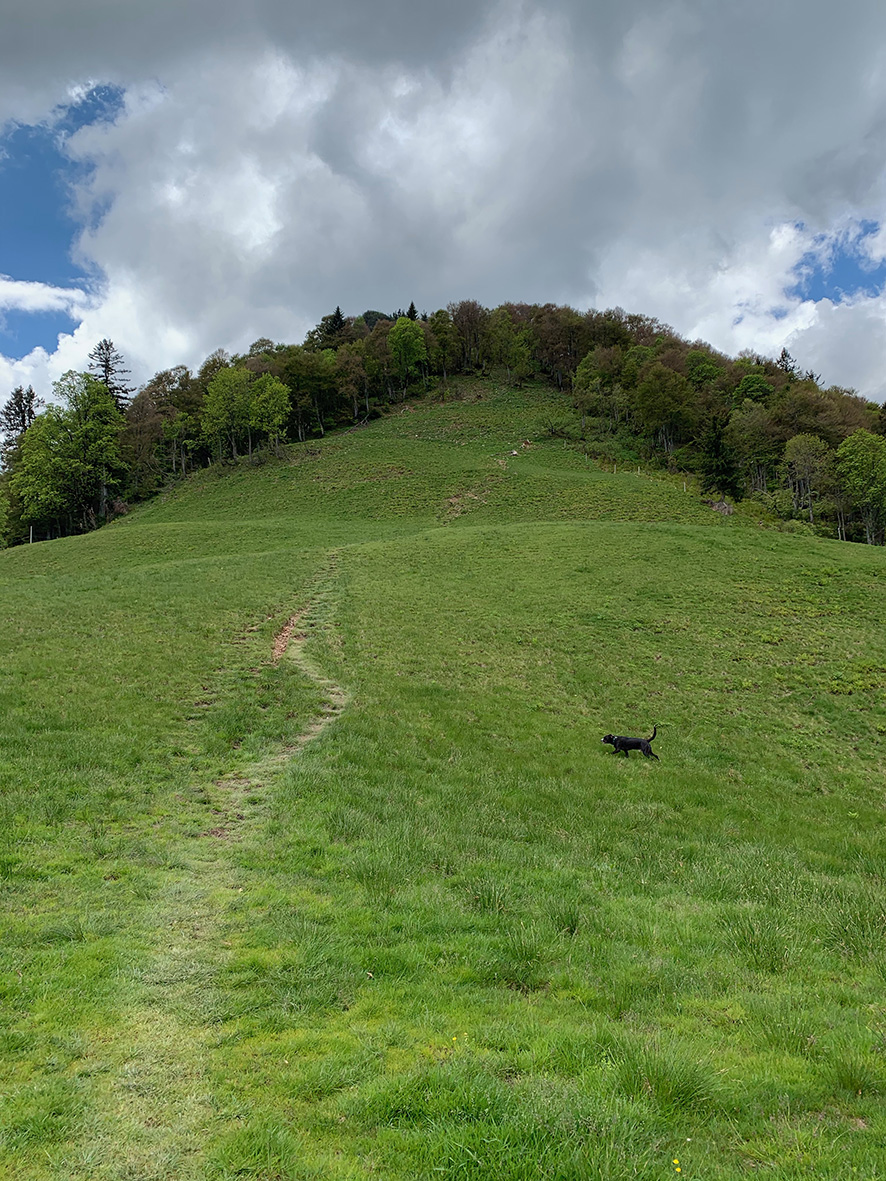VON HINTERSEE AUF DEN SCHMITTENSTEIN BERGKIND.AT